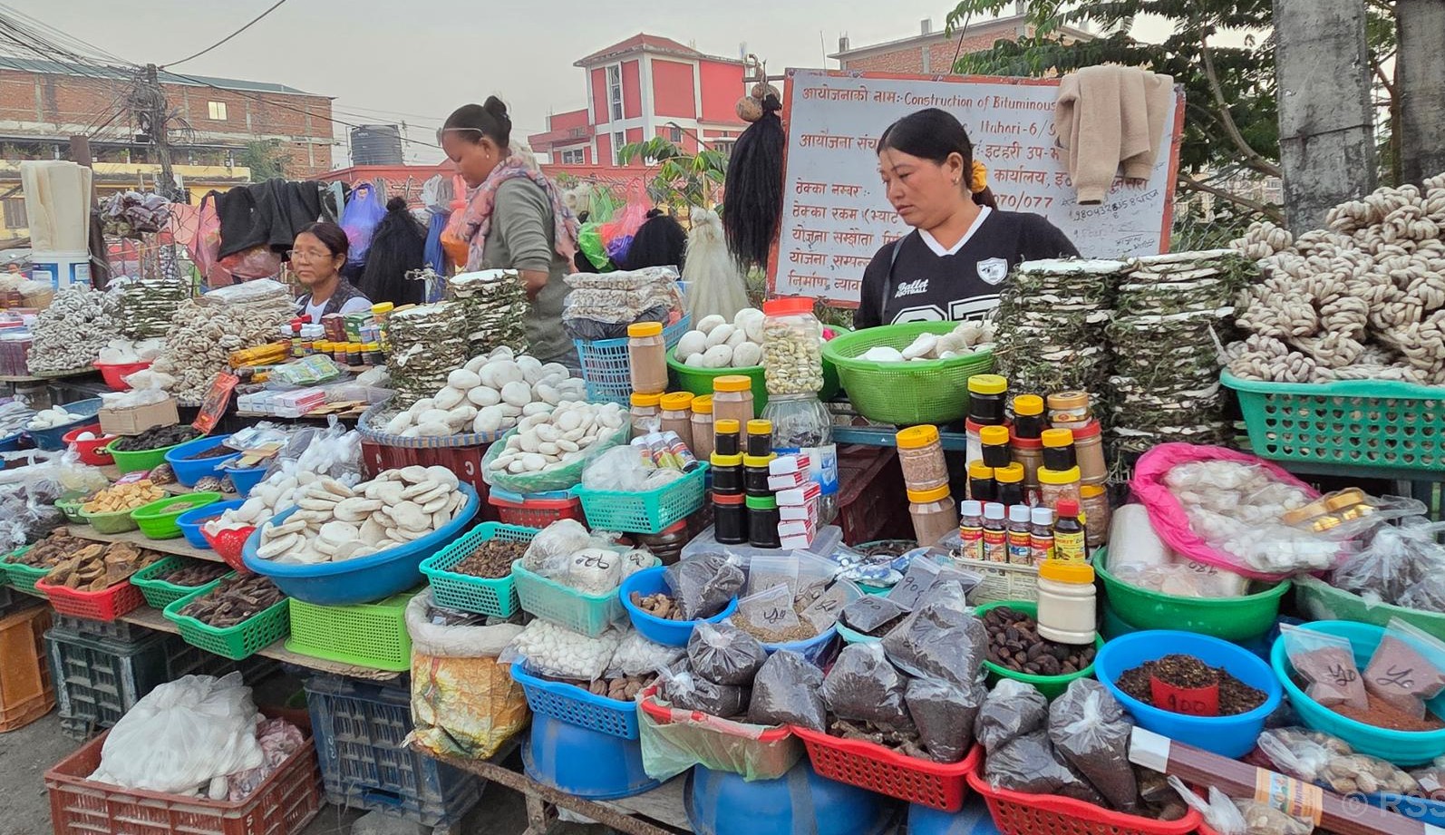 चिसो पहाडबाट झरेर तराईमा जडीबुटी व्यवसाय