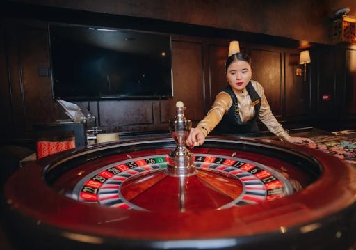 क्यासिनोलाई थप कानुनी दायरामा ल्याइँदै, विभागले दियो १२ बुँदे निर्देशन