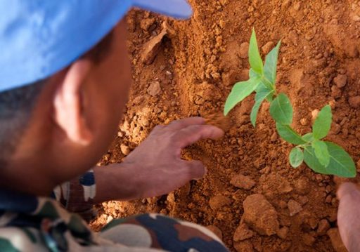 युद्ध र सशस्त्र द्वन्द्वमा वातावरणको दुरुपयोग रोक्ने अन्तरराष्ट्रिय दिवस मनाइँदै