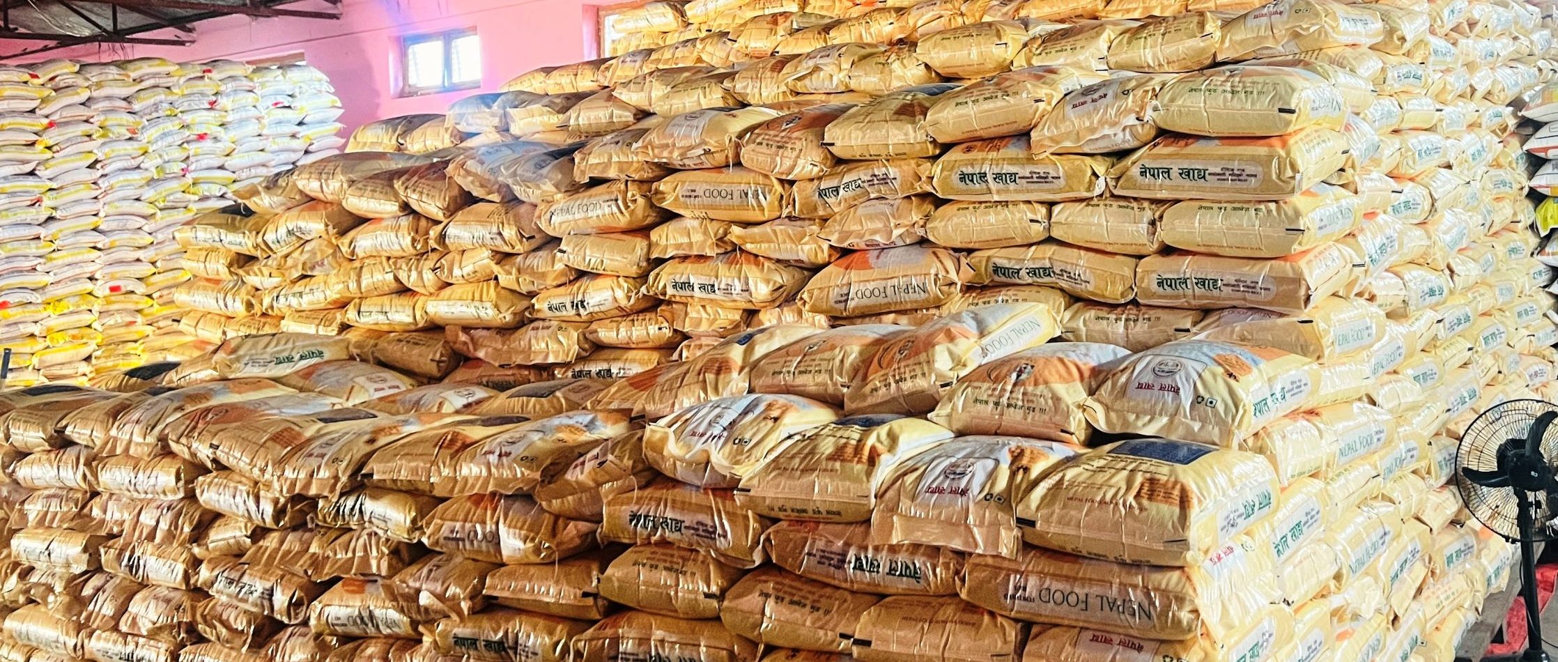 रैथाने बाली संरक्षणमा कर्णाली प्रदेश सरकार