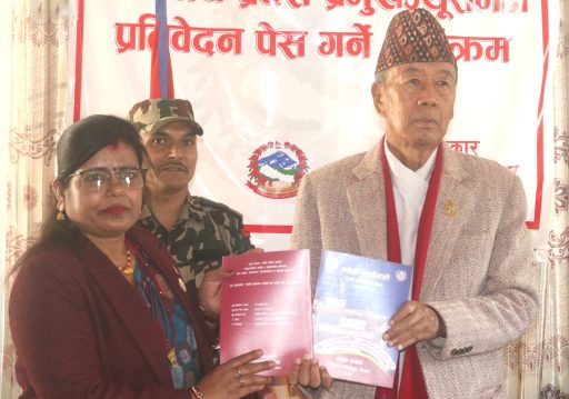 प्रदेश प्रमुख खापुङसमक्ष मधेसी आयोग वार्षिक प्रतिवेदन पेस