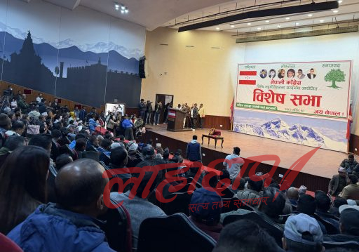 विशेष महाधिवेशन पक्षधरको सभा सम्पन्न