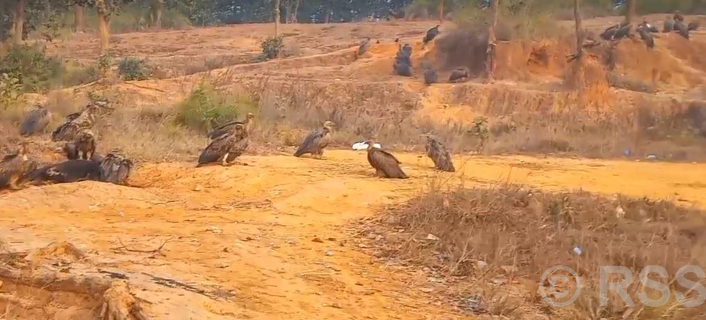 पूरै चुरे क्षेत्र ओगटेको बर्दिबासको पर्यावरणबारे बढ्दै चासो