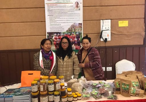 नेपाली महलाई प्राथमिकताका साथ प्रवर्द्धन गर्न सरकारसँग आग्रह