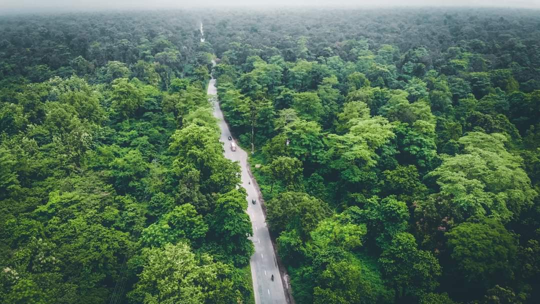 सङ्घीयतापछि पनि मधेसमा रोकिएन वन अतिक्रमण, फिर्ता ल्याउन अझै सकस