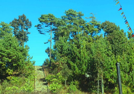 भोजपुरको काफ्ले डाँडालाई पर्यटकीय क्षेत्रका रुपमा विकास गरिँदै