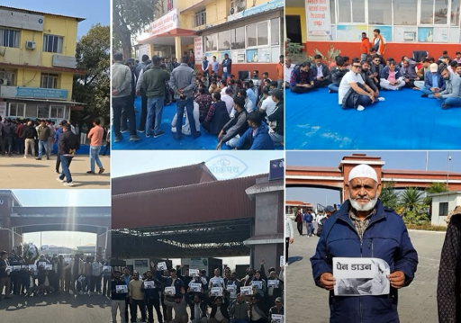 भन्सार एजेन्टद्वारा ‘पेन डाउन’को घोषणा