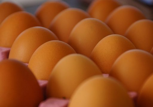 ‘अण्डा’को लागत मूल्य बढ्यो, एउटा अण्डाको लागत मूल्य रु १९.१२ पर्न थाल्यो