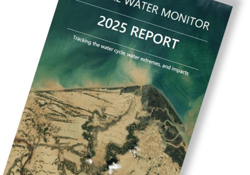 सन् २०२५ मा प्राकृतिक प्रकोपले मानव जीवन र अर्थतन्त्र प्रभावित: प्रतिवेदन